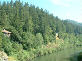 Russian River Pictures